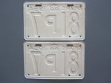 1954 YOM Clear Ontario License Plates