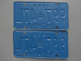 1968 YOM Clear Ontario License Plates