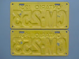 1931 YOM Clear Ontario License Plates