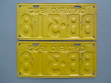 1933 YOM Clear Ontario License Plates