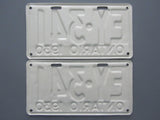 1930 YOM Clear Ontario License Plates