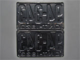 1923 YOM Clear Ontario License Plates