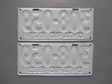 1929 YOM Clear Ontario License Plates