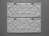 1929 YOM Clear Ontario License Plates