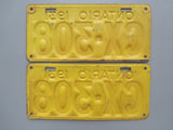 1931 YOM Clear Ontario License Plates
