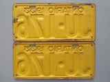 1933 YOM Clear Ontario License Plates