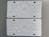 1971 YOM Clear Ontario License Plates