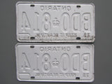 1973 YOM Clear Ontario License Plates