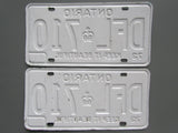 1973 YOM Clear Ontario License Plates