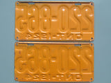 1924 YOM Clear Ontario License Plates