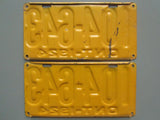 1924 YOM Clear Ontario License Plates
