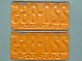 1924 YOM Clear Ontario License Plates