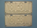 1927 YOM Clear Ontario License Plates