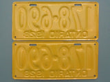 1928 YOM Clear Ontario License Plates