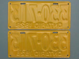 1928 YOM Clear Ontario License Plates