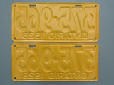 1928 YOM Clear Ontario License Plates