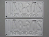 1929 YOM Clear Ontario License Plates