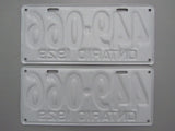 1929 YOM Clear Ontario License Plates
