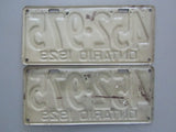 1929 YOM Clear Ontario License Plates
