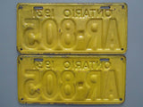1931 YOM Clear Ontario License Plates