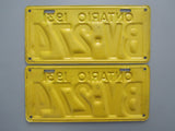 1931 YOM Clear Ontario License Plates