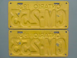 1931 YOM Clear Ontario License Plates