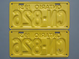1931 YOM Clear Ontario License Plates