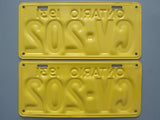 1931 YOM Clear Ontario License Plates
