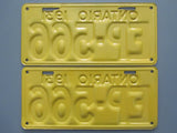 1931 YOM Clear Ontario License Plates