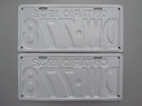 1932 YOM Clear Ontario License Plates