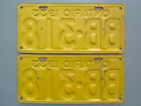 1933 YOM Clear Ontario License Plates