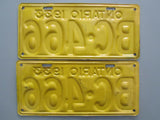 1933 YOM Clear Ontario License Plates
