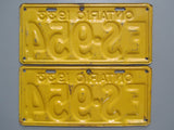 1933 YOM Clear Ontario License Plates