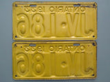 1933 YOM Clear Ontario License Plates