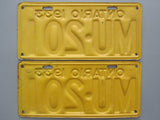 1933 YOM Clear Ontario License Plates