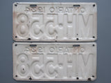 1934 YOM Clear Ontario License Plates