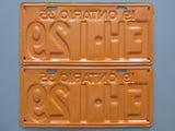 1935 YOM Clear Ontario License Plates
