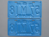 1938 YOM Clear Ontario License Plates