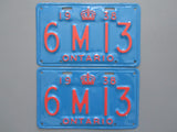 1938 YOM Clear Ontario License Plates