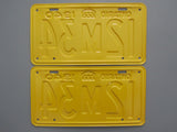 1940 YOM Clear Ontario License Plates