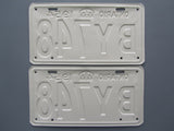 1954 YOM Clear Ontario License Plates