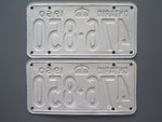 1960 YOM Clear Ontario License Plates