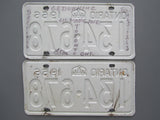 1966 YOM Clear Ontario License Plates