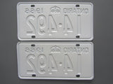 1966 YOM Clear Ontario License Plates