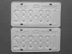 1966 YOM Clear Ontario License Plates