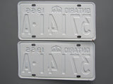 1966 YOM Clear Ontario License Plates