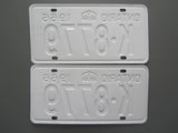 1966 YOM Clear Ontario License Plates