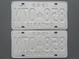 1969 YOM Clear Ontario License Plates