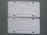 1973 YOM Clear Ontario License Plates