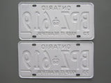 1973 YOM Clear Ontario License Plates